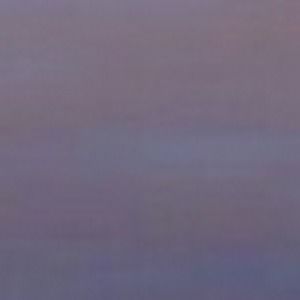 Meet your Posher, Daren